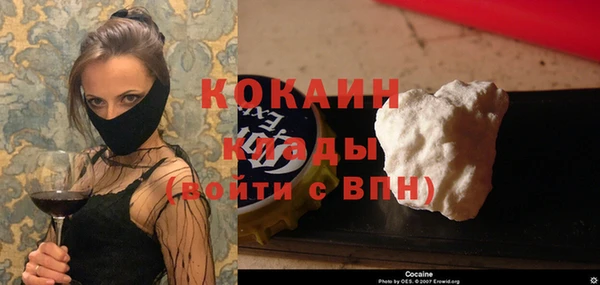 прущие грибы Баксан