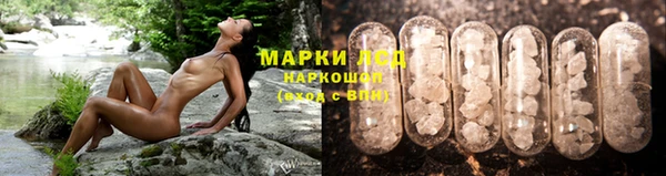 прущие грибы Баксан