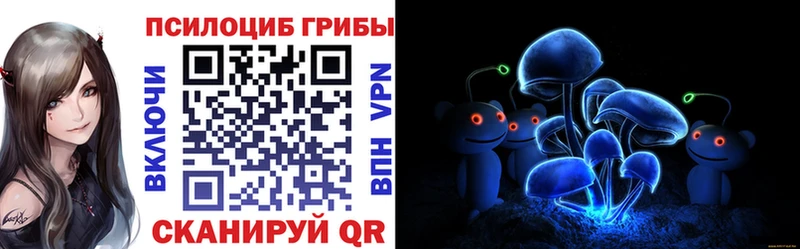 что такое   Волоколамск  KRAKEN маркетплейс  даркнет как зайти  Галлюциногенные грибы Psilocybe 