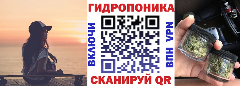 Канабис OG Kush  где найти   Волоколамск 